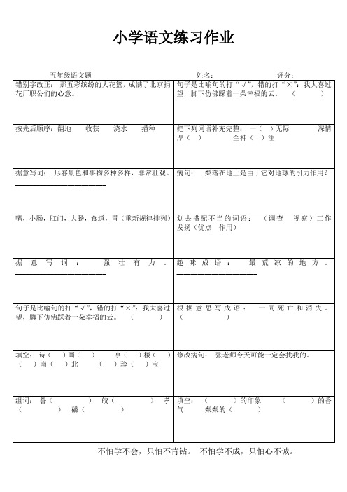 快乐语文随堂练 (80)