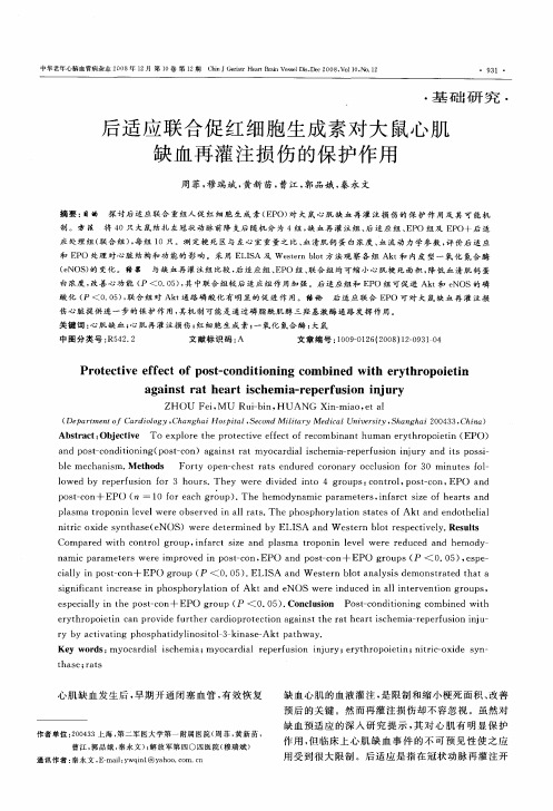 后适应联合促红细胞生成素对大鼠心肌缺血再灌注损伤的保护作用