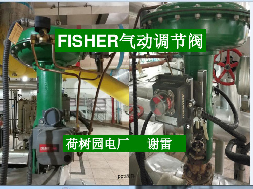 FISHER定位器  ppt课件