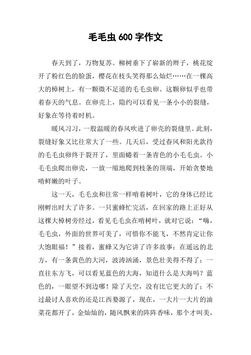 毛毛虫600字作文