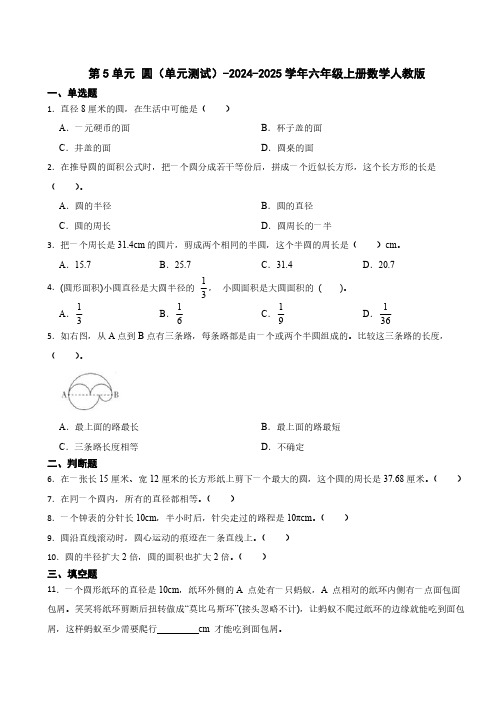 第5单元 圆 单元测试(含答案)2024-2025学年六年级上册数学人教版