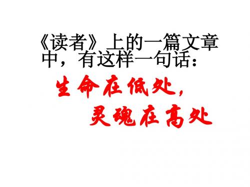 灵魂在高处