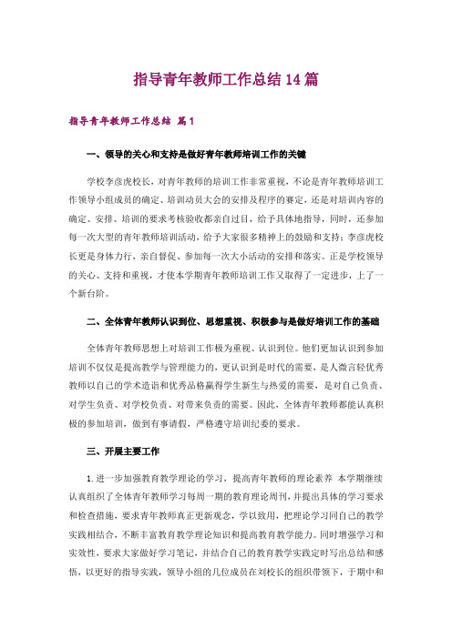 指导青年教师工作总结14篇