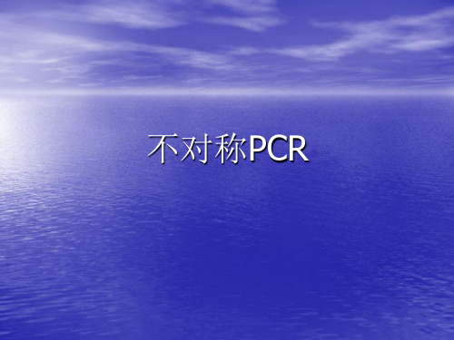 不对称PCR