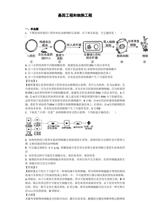 高三生物基因工程和细胞工程卷四