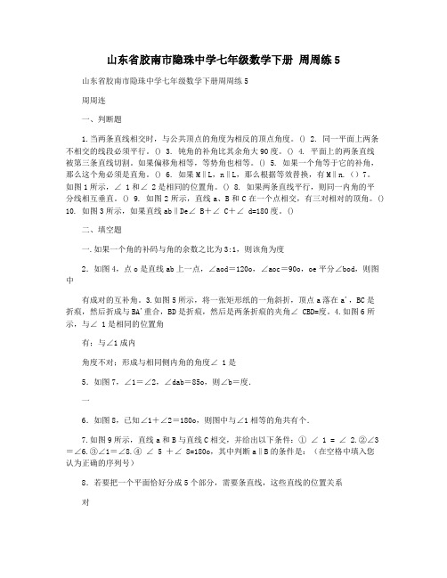 山东省胶南市隐珠中学七年级数学下册 周周练5