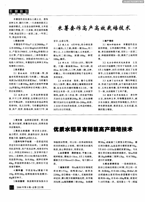 优质水稻旱育稀植高产栽培技术