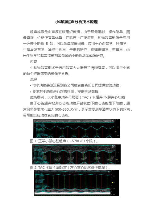 小动物超声分析技术原理