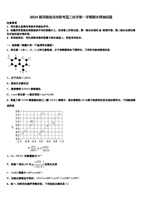 2024届河南省名校联考高三化学第一学期期末预测试题含解析