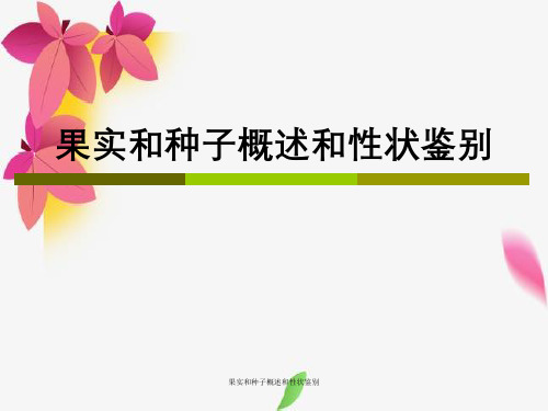 果实与种子概述与性状鉴别