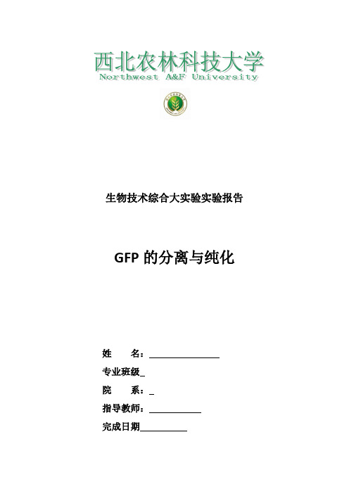 生物技术综合大实验-GFP纯化