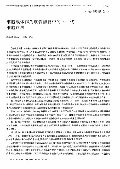 细胞载体作为软骨修复中的下一代细胞疗法