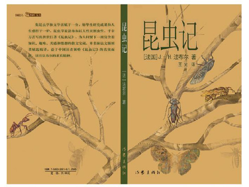 人教统编版六年级下册语文课件-《绿色蝈蝈》 (共24张PPT)