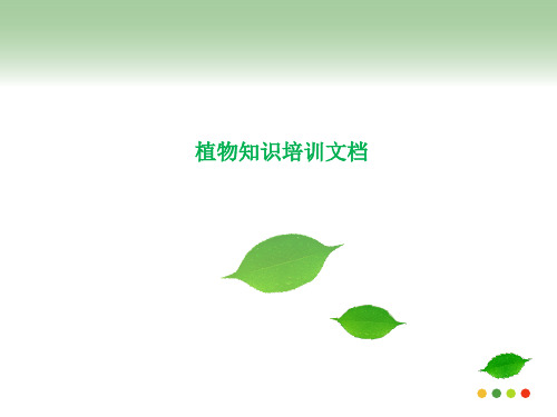 绿植盆栽知识培训 教学PPT课件