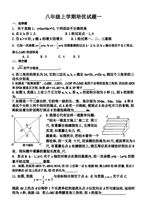 北师大版八年级上学期数学培优试题