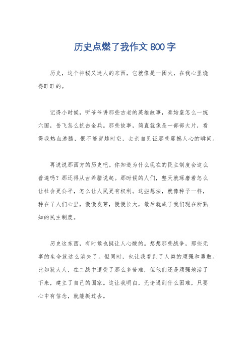 历史点燃了我作文800字