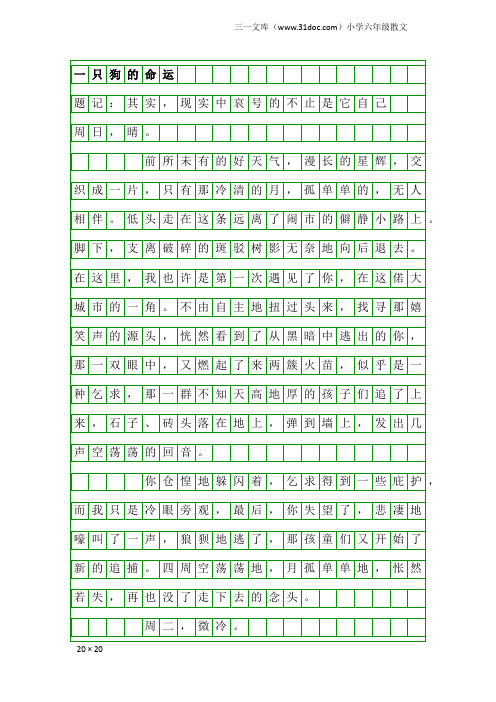 小学六年级散文：一只狗的命运