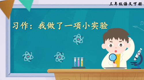 部编版三年级语文下册习作《我做了一项小实验》优质课件【最新】