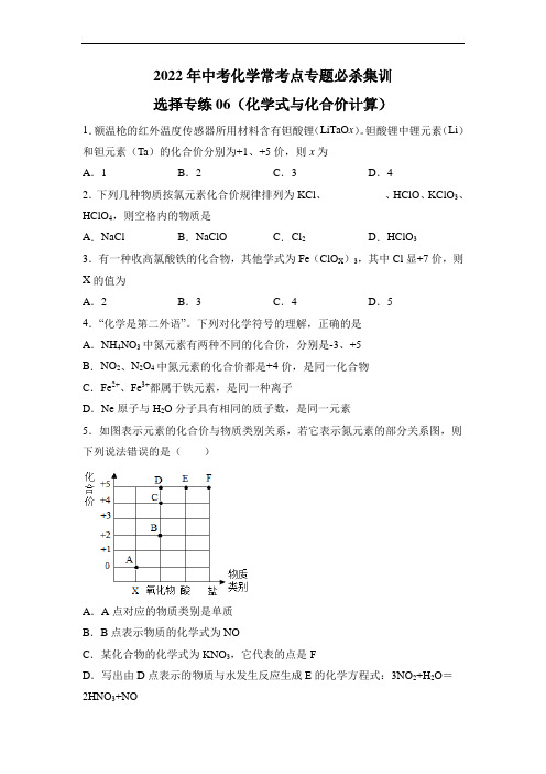 2022中考化学总复习考点选择专练06(化学式与化合价计算30题)