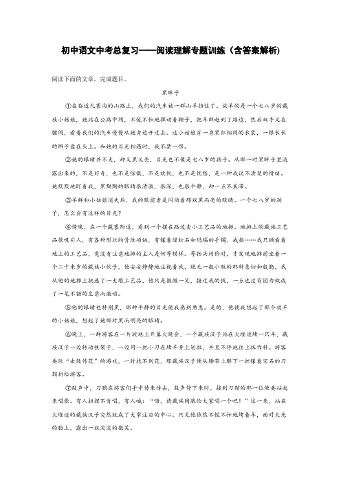 初中语文中考总复习阅读理解专题训练《黑眸子》(含答案解析)