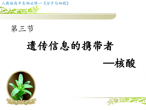 核酸---说课
