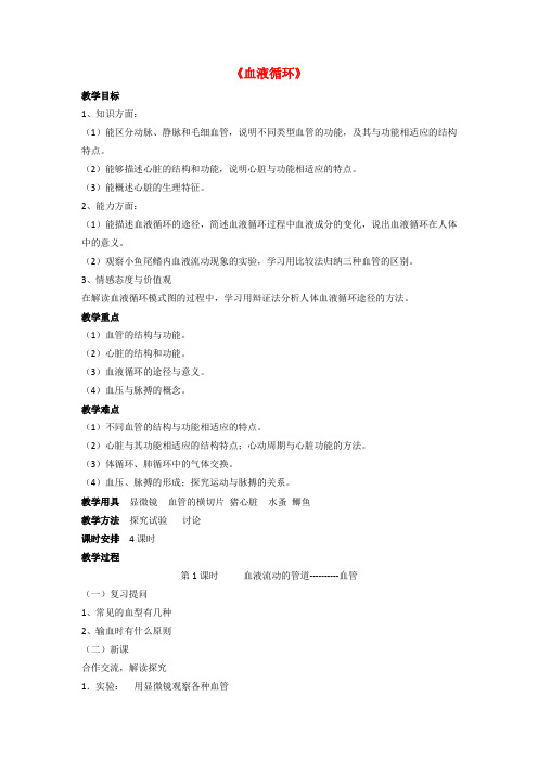 七年级生物下册 第9章 第二节 血液循环教案1 北师大版