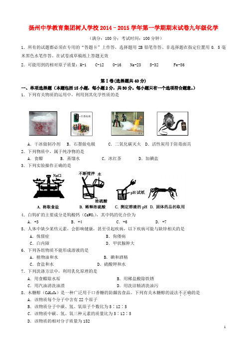 江苏省扬州中学教育集团树人学校九年级化学上学期期末