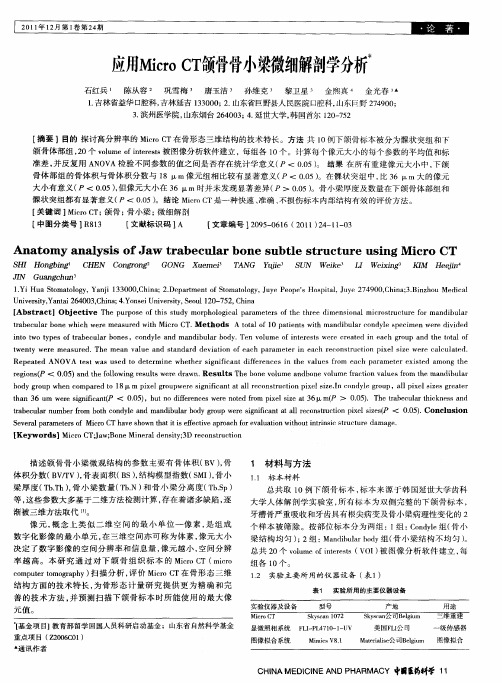 应用Micro CT颌骨骨小梁微细解剖学分析