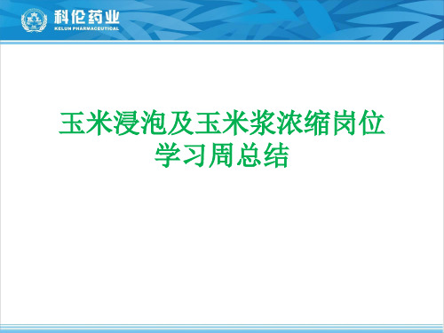 玉米浸泡及玉米浆浓缩岗位总结