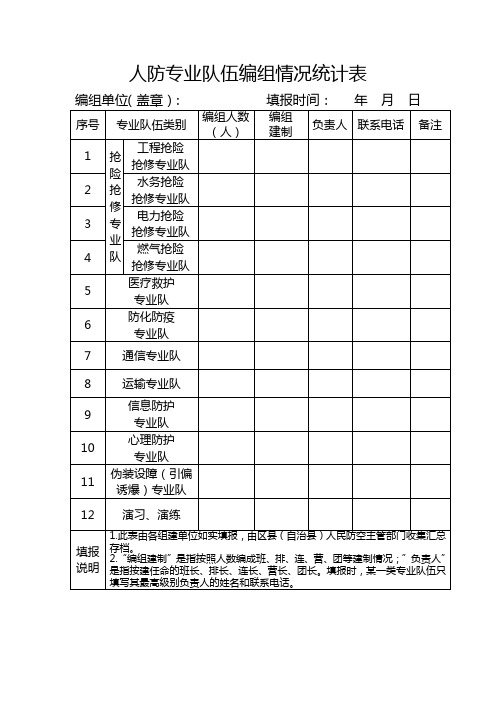 人防专业队伍编组情况统计表