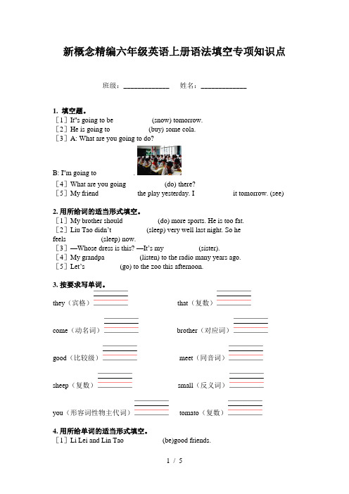 新概念精编六年级英语上册语法填空专项知识点