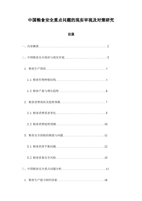 中国粮食安全重点问题的现实审视及对策研究