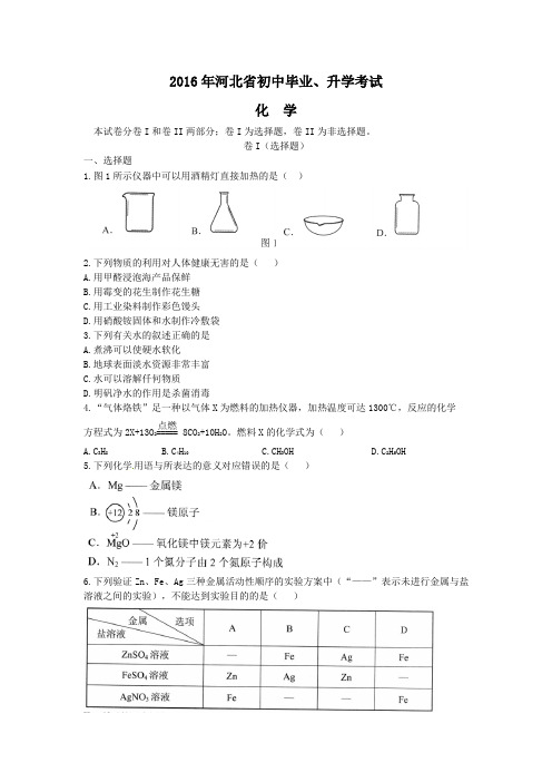 2016年河北省中考化学试题(含解析)