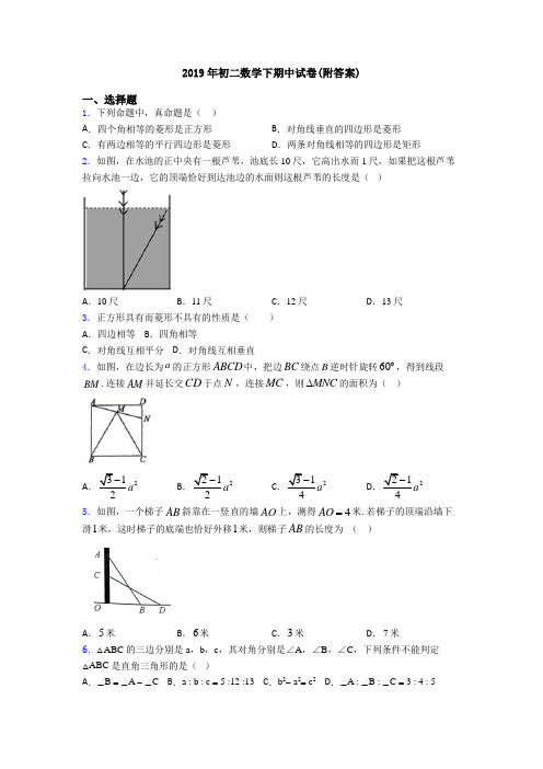 2019年初二数学下期中试卷(附答案)