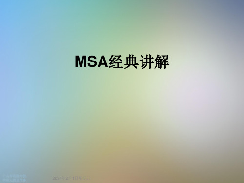 MSA经典讲解