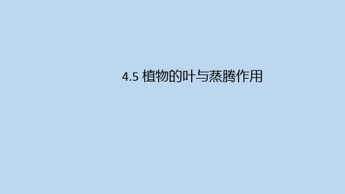 浙教版科学八年级下册4-5 植物的叶与蒸腾作用 