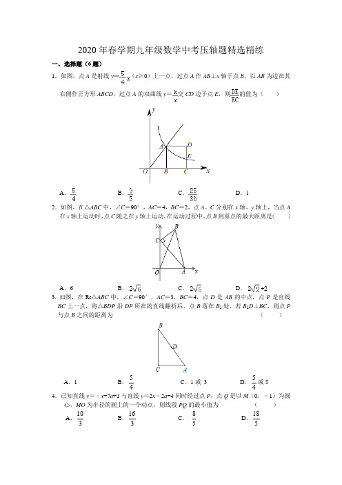 2020年春学期九年级数学中考压轴题精选精练(含答案解析)