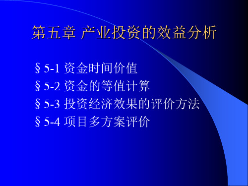 5产业投资的效益分析.ppt