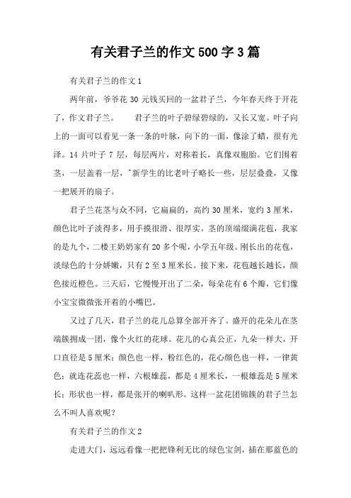 有关君子兰的作文500字3篇