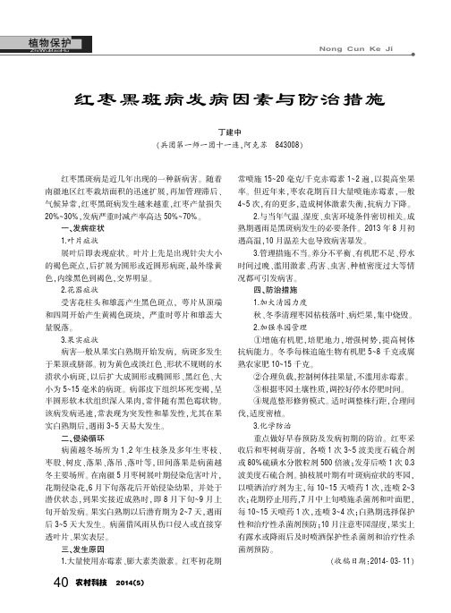 红枣黑斑病发病因素与防治措施