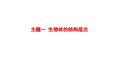 2025届广东中考生物总复习考点突破课件：主题一 生物体的结构层次课题一 生物体的结构层次