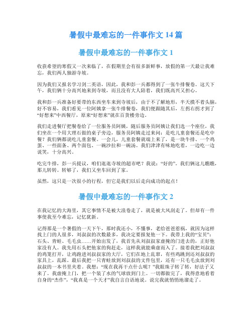 暑假中最难忘的一件事作文14篇