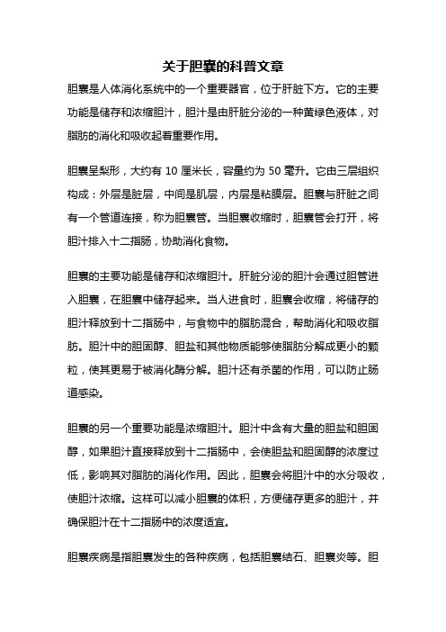 关于胆囊的科普文章