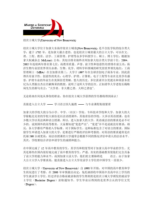 纽宾士域大学