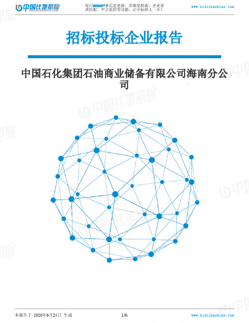 中国石化集团石油商业储备有限公司海南分公司-招投标数据分析报告