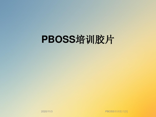 PBOSS培训胶片[1]