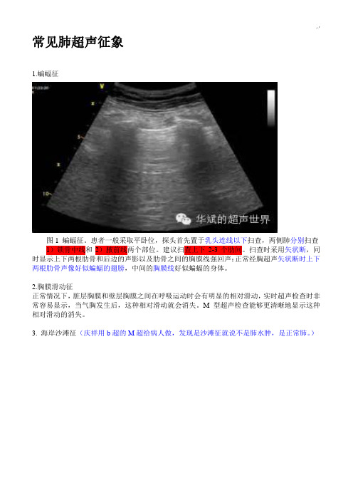 肺部超声一些常见形象征象的解释