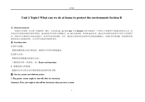 科普版九年级英语上册《What can we do at home to protect the environment.  Section B》优质课教案_21