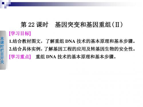 4.4 基因突变和基因重组(Ⅱ) 课件(苏教版必修2)