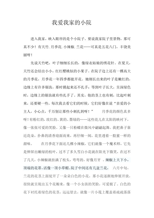 我爱我家的小院